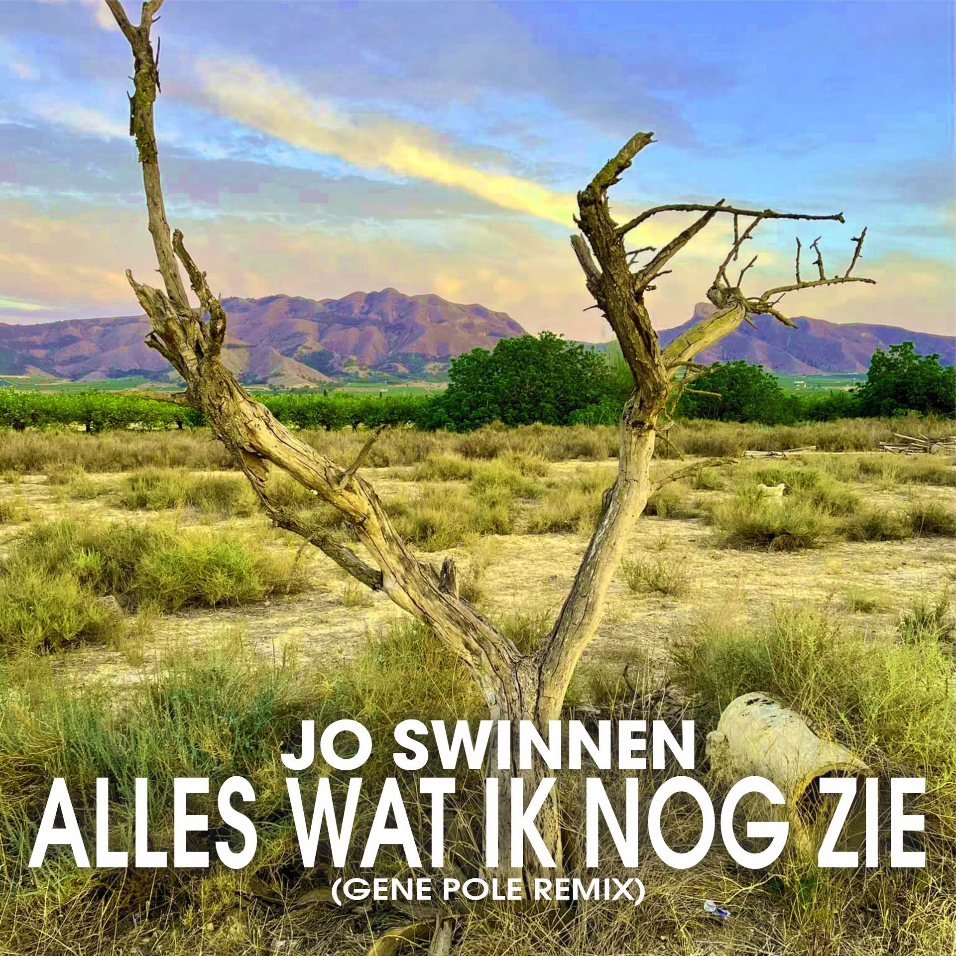 Alles Wat Ik Nog Zie